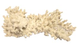 Farbstein Koralle ca. 366.76 g