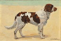Maurice Barbey (XIX-XXe), Springer anglais, 1924, huile sur toile, signée et datée, 50x73 cm