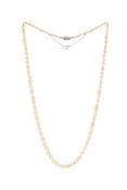 Collier 1 rang de perles naturelles d'eau de mer en chute selon le rapport GGTL n°26-B-8907 daté du