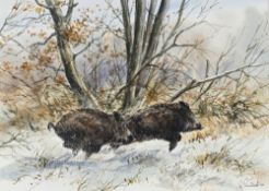 Arnaud Freminet (1961), Deux sangliers courant dans la neige, aquarelle et rehauts de gouache sur pa
