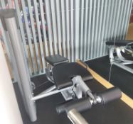 Life Fitness Optimo Leg Extension and Leg Curl Press (dismantled)