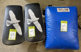 Pair Hayabusa Box Pads and Kick Shield and Fighter Kick Pad