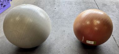 2 Life Fitness Gym Balls