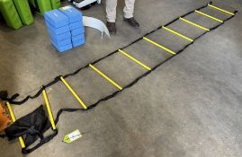 Fitness Ladder with store bag
