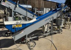 Idea Contafruiti IDCFR-1L inclined single lane Fruit Conveyor, 280mm width, 3500mm length, 2000mm