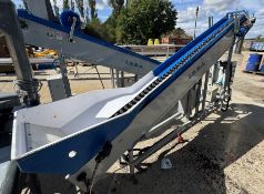 Idea Contafruiti IDCFR-1L inclined single lane Fruit Conveyor, 280mm width, 3500mm length, 2000mm
