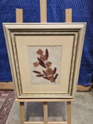 An Arrangement Of Pressed, Dried Botanical Elements On A Light-Coloured, Textured Paper Background
