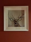 Louise Luton Rufus Limited Edition 25/50 In A Glazed White Wood Modern Frame 44 x 44cm Born In