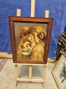 Framed Oil Painting On Board Of A Lion's Head And Upper Body, Signed L. Hamead 1936 Framed 45 X 56cm