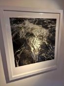 Gillian Allard Framed Print Water Forest Duntulm Isle Of Sky Limited Edition 4/25 Signed Verso In