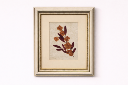 An Arrangement Of Pressed, Dried Botanical Elements On A Light-Coloured, Textured Paper Background
