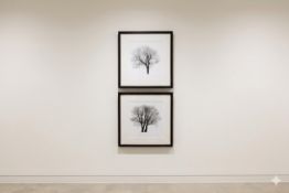 Set of 2 Tree Silhouette Prints A pair of framed black and white prints depicting winter tree