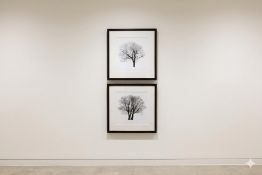 Set of 2 Tree Silhouette Prints A pair of framed black and white prints depicting winter tree