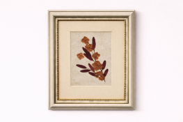 An Arrangement Of Pressed, Dried Botanical Elements On A Light-Coloured, Textured Paper Background