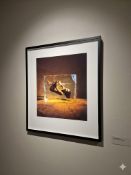 Storm Thorgerson (British, 1944–2013) Judy Black, limited edition silkscreen 146/150. Housed in a