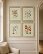 A set of four natural history botanical prints after antique originals, depicting various floral