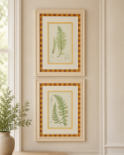 A pair of natural history botanical prints depicting decorative fern fronds. Each colored study is