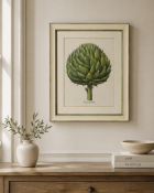 A large botanical study print titled Fructus Artichoki, depicting a detailed green artichoke head.