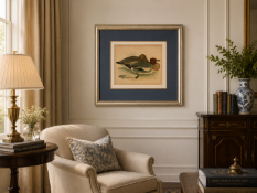 A Framed Antique-Style Ornithological Print after John James Audubon, Titled 