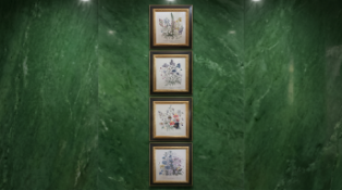 A Set of Four Reproduction Botanical Studies After Antique Engravings A uniform set of four colour
