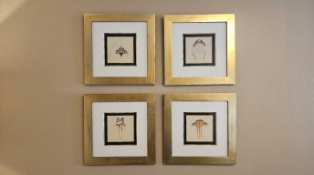 A Set of Four Framed Art Nouveau Jewellery Design Prints after René Lalique (1860–1945) A cohesive
