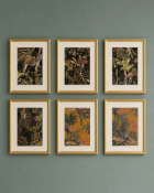 6 x framed wall art prints [ Loc 5 Elliot]
