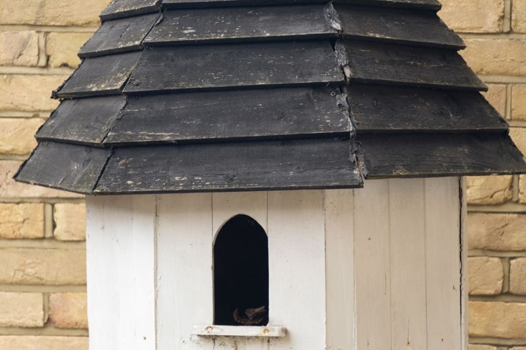 An Impressive Vintage Monumental Freestanding Timber Dovecote Standing at over 3.2 metres tall, this - Image 3 of 11