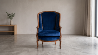 Louis XV Easy Chair and Footstool 