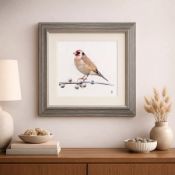 Robin Watercolour Wall art Charming Robin Watercolour Wall Art piece, featuring a delicate