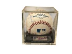 DETROIT TIGERS PROFESSIONAL TEAM SIGNED BASEBALL