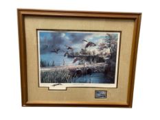 KEN ZYLLA MINNESOTA WILDLFIFE ARTIST COMMEMORATIVE STAMP PRINT TITLED LIFTING TO THE NORTH