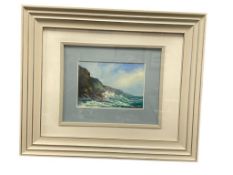 KEVIN A. MULVILLE NEVADA / HAWAII ARTIST ORIGINAL MINIATURE OIL SEASCAPE PAINTING