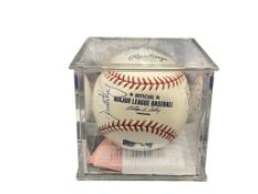 DETROIT TIGERS PROFESSIONAL TEAM SIGNED BASEBALL