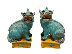 PAIR OF EARLY 20TH CENTURY FEROCIOUS CHINESE CERAMIC FOO DOGS / TEMPLE LIONS STATUES
