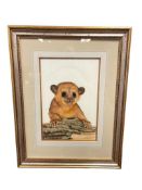 JILL FOGELSONG ORIGINAL DRY BRUSH WATERCOLOR PORTRAIT OF KINKAJOU