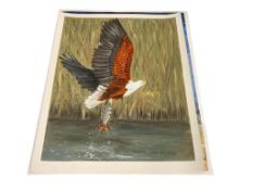 M. HUTSON ZIMBABWE SOUTH AFRICA ARTIST AFRICAN EAGLE ORIGINAL PAINITNGS ON PAPER