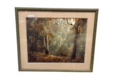 KEVIN BEST RENOWN AUSTRALIAN ARTIST WILDLIFE / LANDSCAPE PRINT