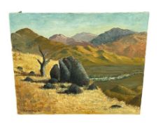 VINTAGE ROBERT DOXE ORIGINAL OIL ON CANVAS PAINTING TITLED GRANITE AND GRASS