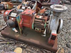 4" x 3" x 9" Environamics Centrifugal Pump, S/S, 7.5 HP