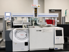 Shimadzu Gas Chromatograph, Mass Spec