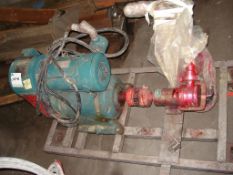 1.5" Jabsco Purflo Pump, S/S, 2 HP