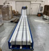 CUSTOM CONVEYOR & EQUIPMENT 4-LANE INCLINE CONVEYOR
