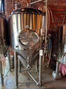 300 GALLON STAINLESS STEEL VERTICAL CONE BOTTOM DOME TOP TANK W/ DWYER TSW TEMPERATURE SWITCH