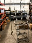 COTTERMAN INDUSTRIAL ROLLING WAREHOUSE LADDER
