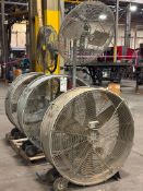 PEDESTAL AND BOX FANS