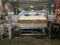 CONTINUOUS-FEED ELECTRIC CONVEYOR CURING & DRYING TUNNEL OVEN W/ INFEED, OUTFEED & CONTROL CABINET
