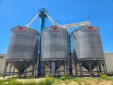 (3) 30,000 GALLON CARBON STEEL SILOS W/ 2 BUCKET ELEVATORS & TOP MOUNTED TRANSFER SCREW CONVEYORS
