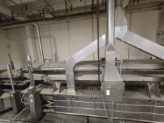 CONTINUOUS BELT DEEP FRYER (IMMERSION FRYER)