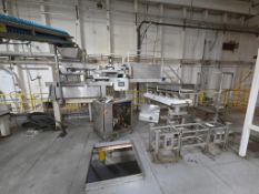 2011 TNA INTELLI-FLAV OMS 3 INTEGRATED SEASONING SYSTEM W/ MEZZANINE & LOADING FIXTURES