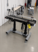 LOW PROFILE BELT CONVEYOR